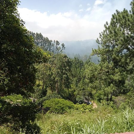 New Rose Villa Bandarawela 엘라 외부 사진