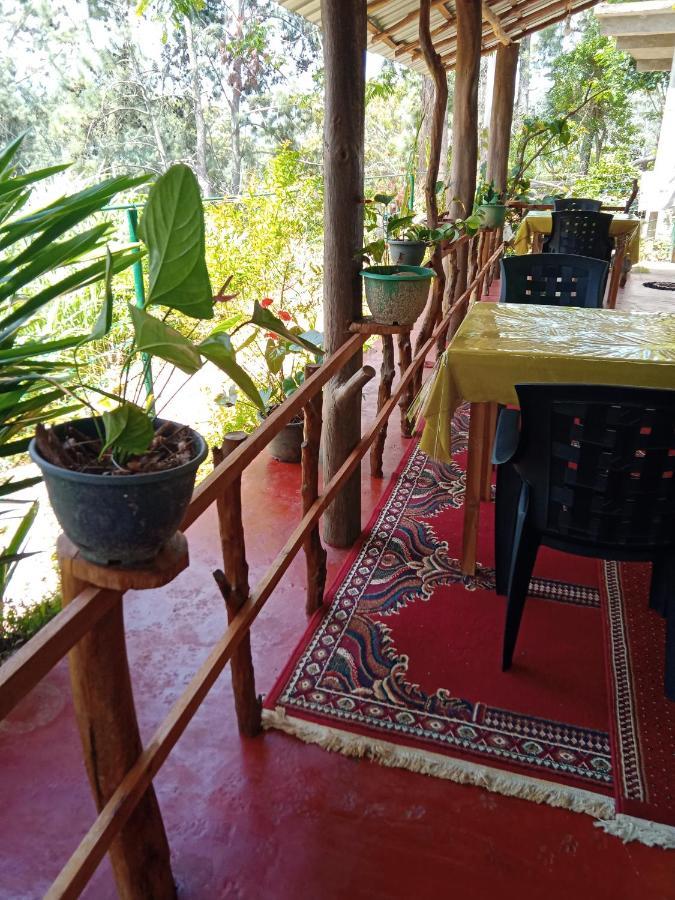 New Rose Villa Bandarawela 엘라 외부 사진