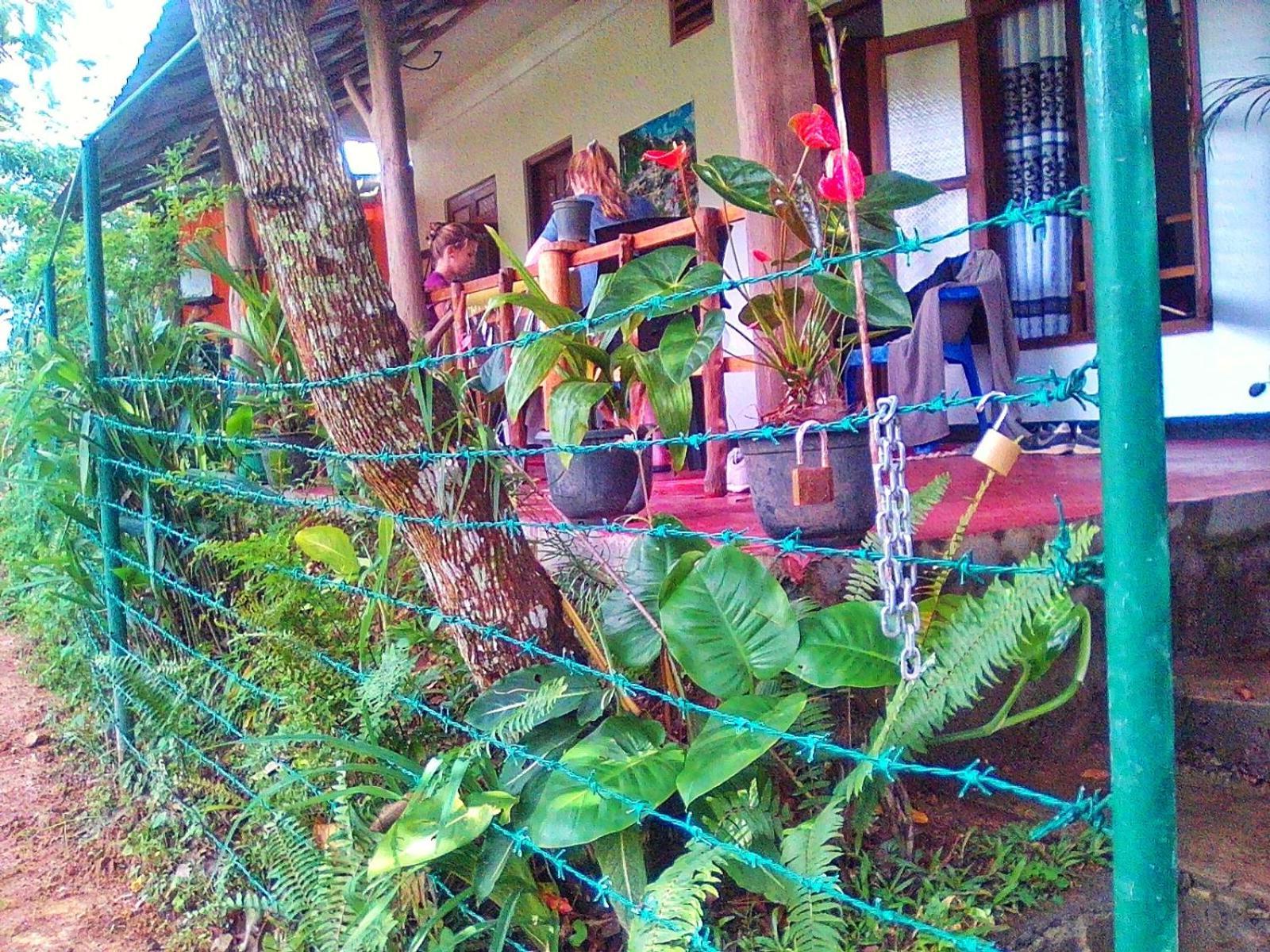 New Rose Villa Bandarawela 엘라 외부 사진