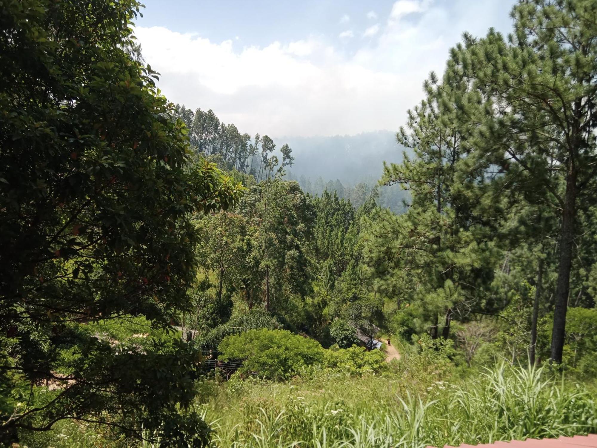 New Rose Villa Bandarawela 엘라 외부 사진