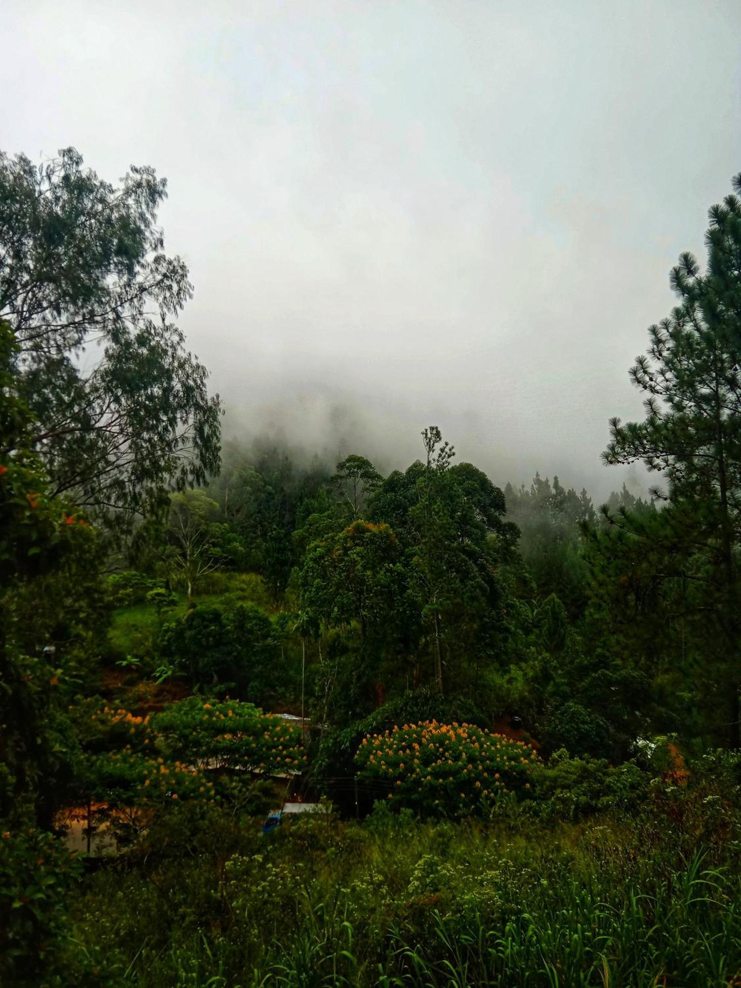 New Rose Villa Bandarawela 엘라 외부 사진