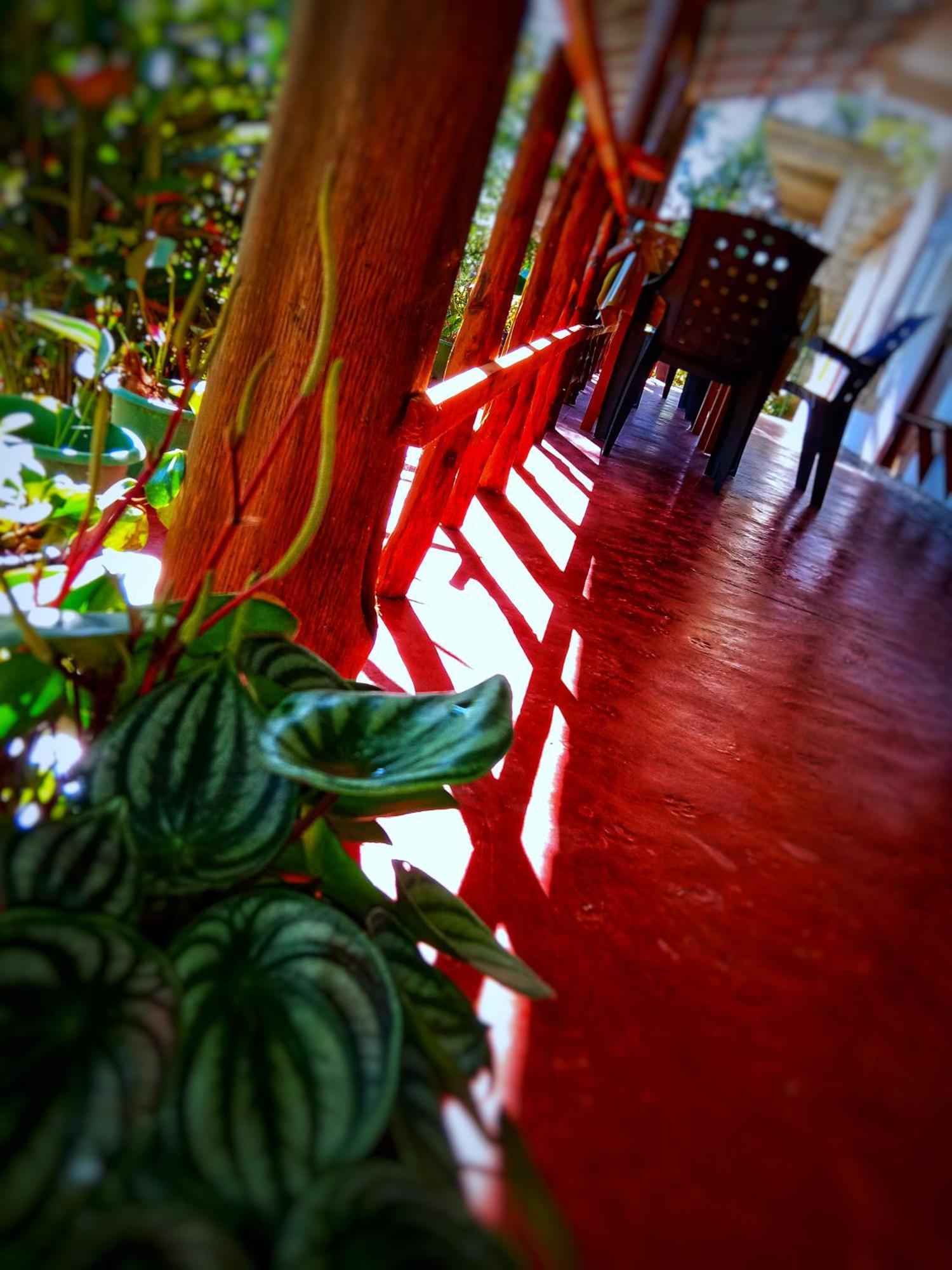 New Rose Villa Bandarawela 엘라 외부 사진
