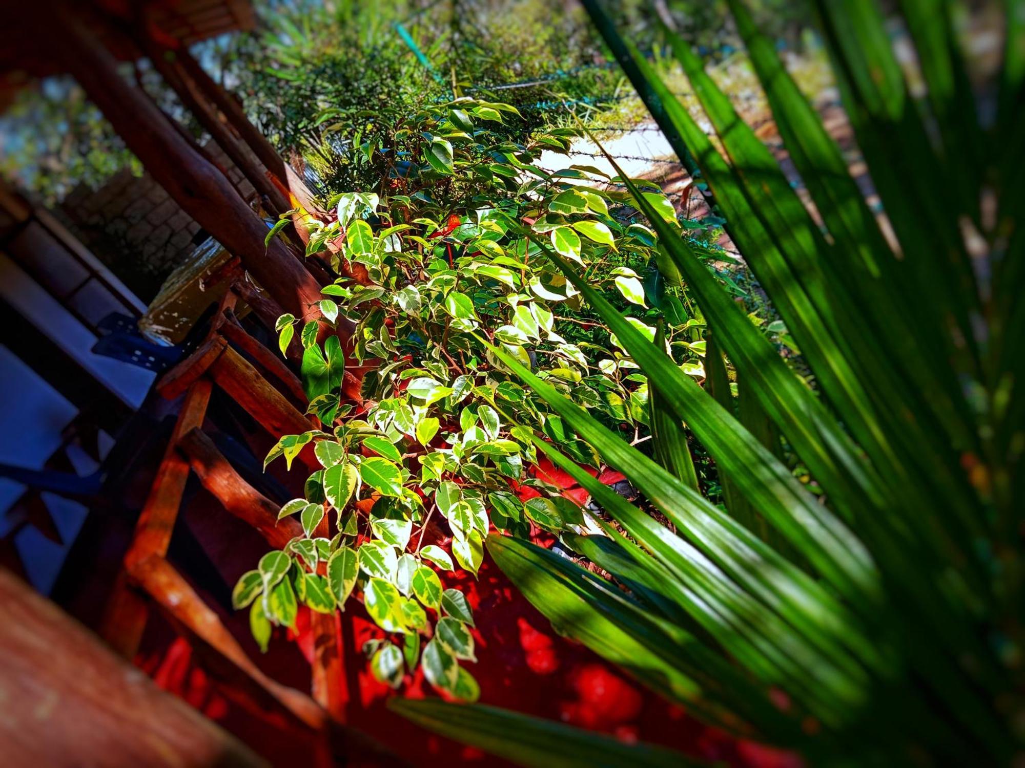 New Rose Villa Bandarawela 엘라 외부 사진