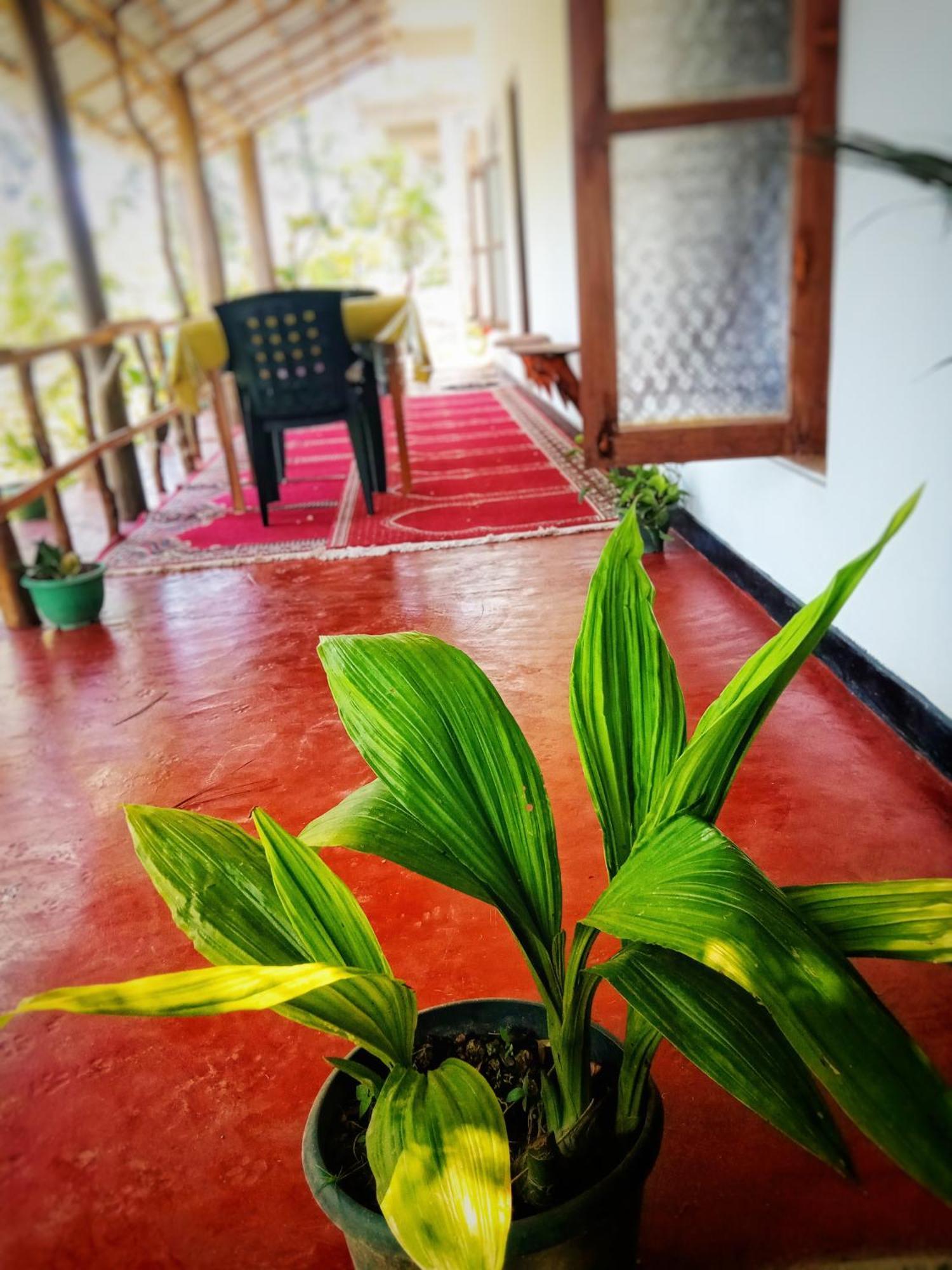 New Rose Villa Bandarawela 엘라 외부 사진