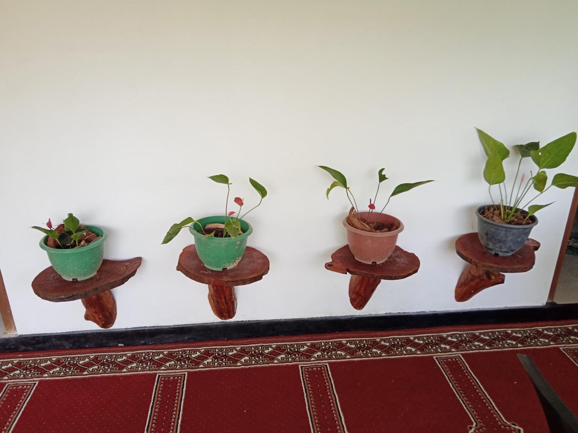New Rose Villa Bandarawela 엘라 외부 사진