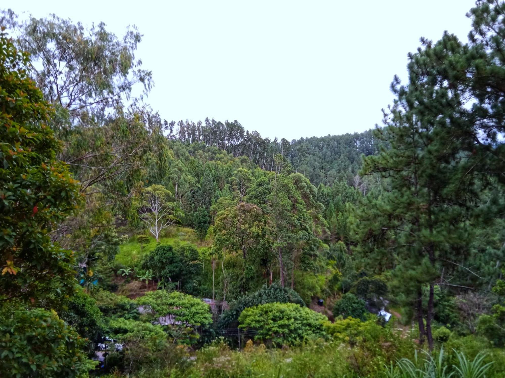 New Rose Villa Bandarawela 엘라 외부 사진