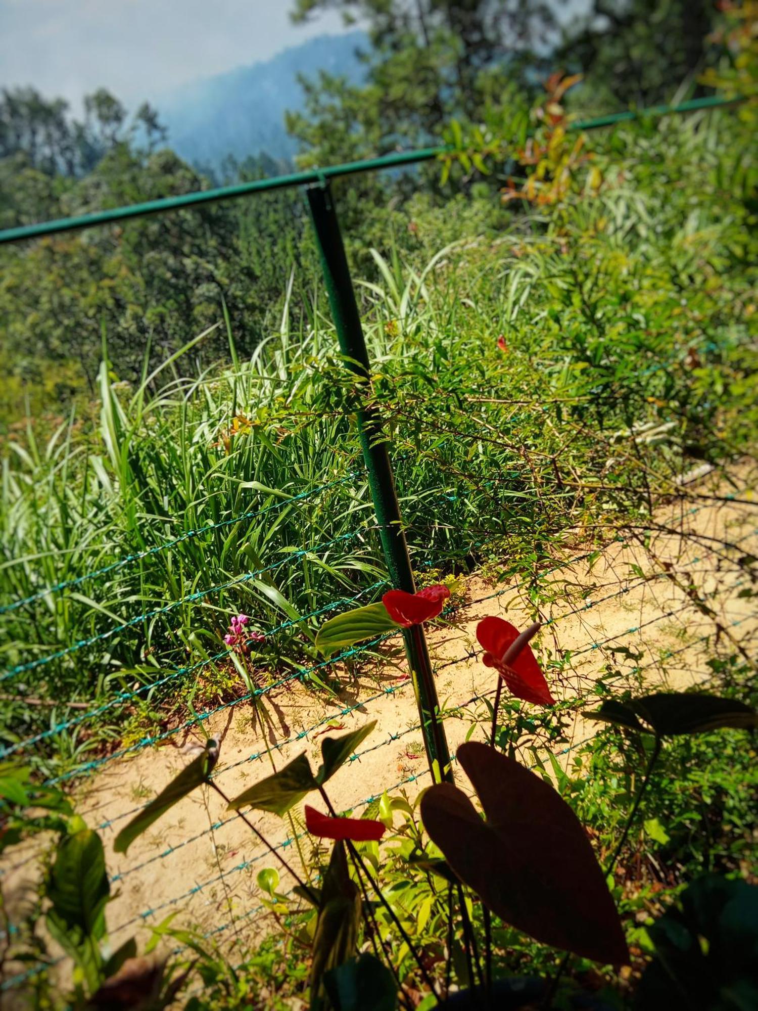 New Rose Villa Bandarawela 엘라 외부 사진