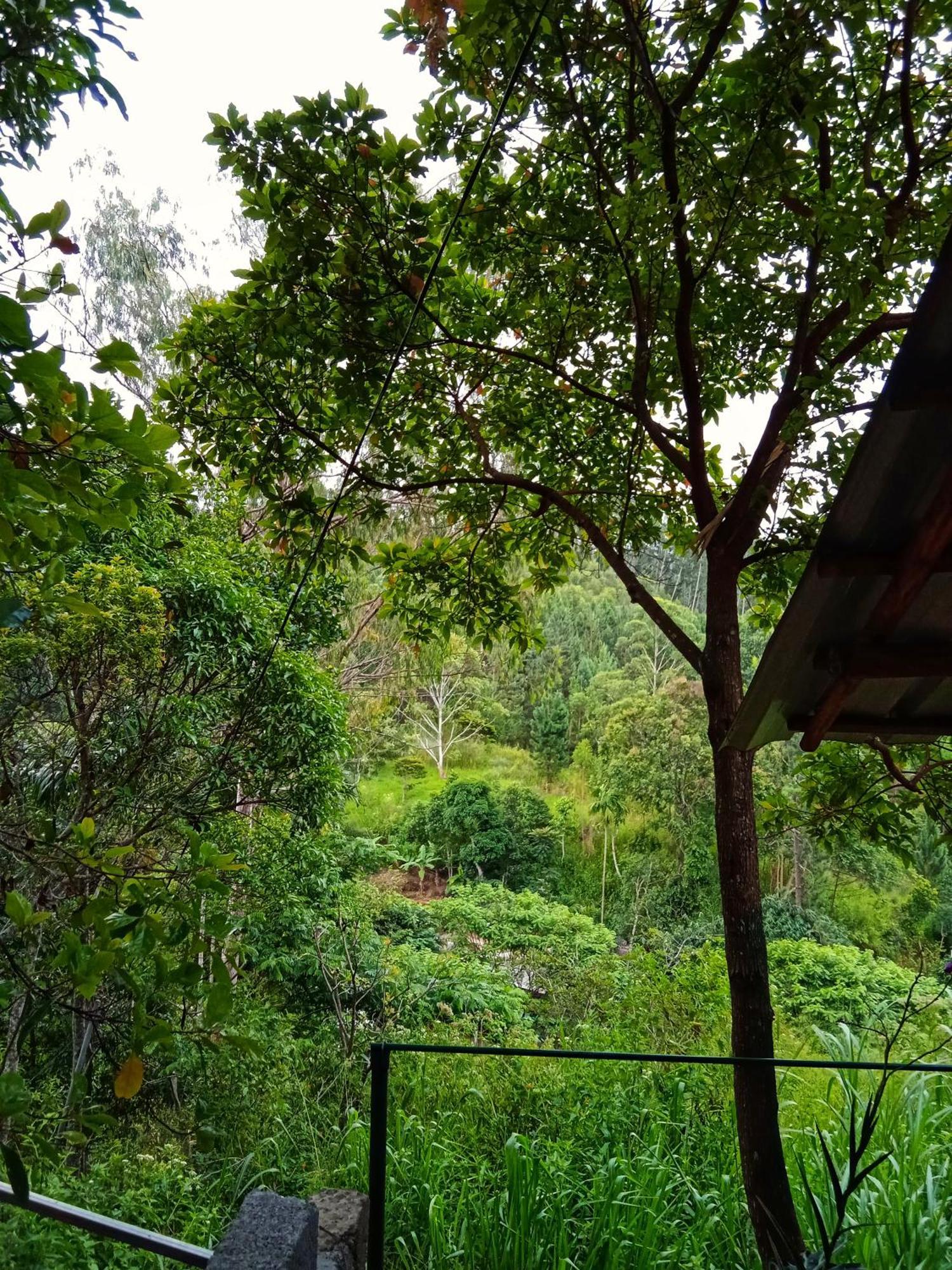 New Rose Villa Bandarawela 엘라 외부 사진